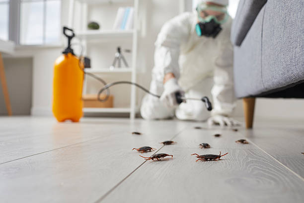 Commercial Kitchen Cockroach Control in Avon